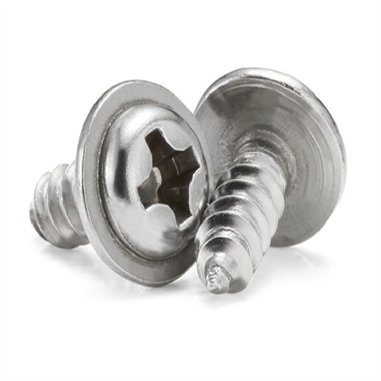 Vis autotaraudeuse à tête de rondelle cylindrique en acier inoxydable M6 pour le métal