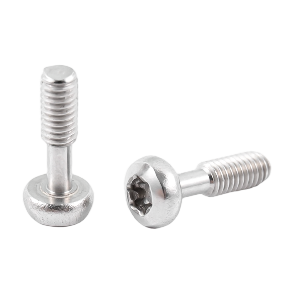 Vis imperdables Torx à tête bombée en acier inoxydable
