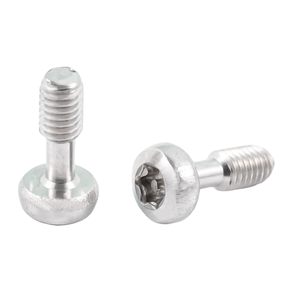 Vis imperdables Torx à tête bombée en acier inoxydable Vis imperdables Torx à tête bombée en acier inoxydable