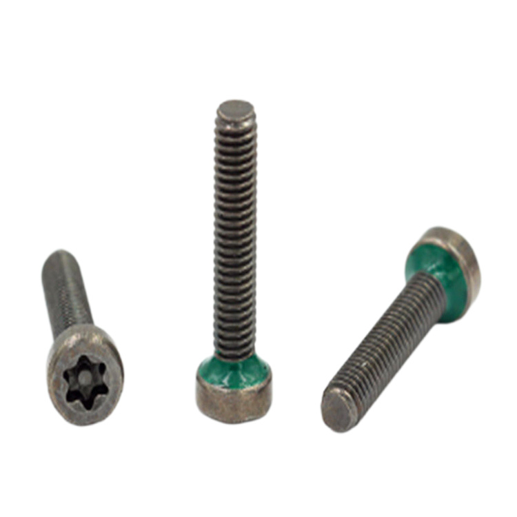 Torx de conception personnalisée avec vis étanche à tête creuse