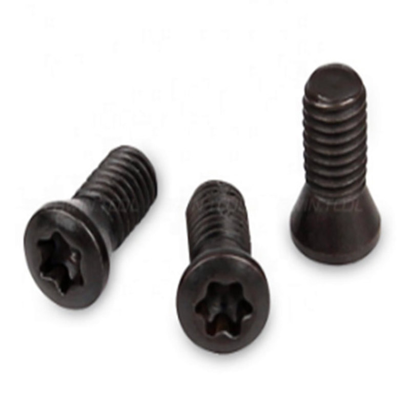 Vis Torx M2 pour remplacer l'outil de tour CNC à insert en carbure Vis Torx M2 pour remplacer l'outil de tour CNC à insert en carbure